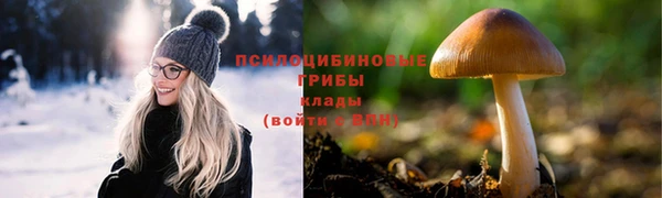 спиды Алексин